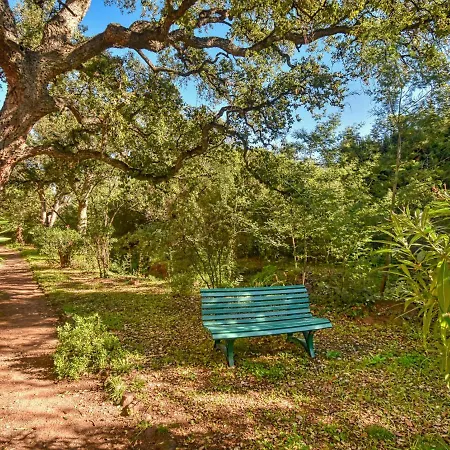 Le Capricorne By Interhome Saint-Raphaël
